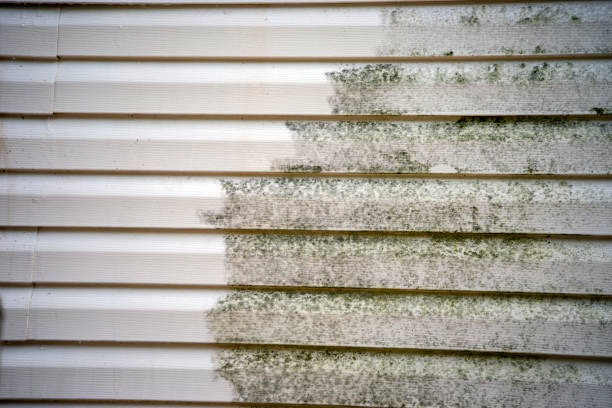 Best Dumpster Rental Services  in Tigard, OR