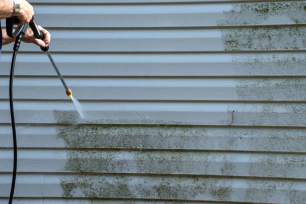 Best Yard Waste Removal  in Tigard, OR