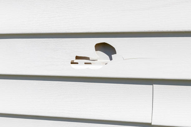 Demolition Debris Removal in Tigard, OR